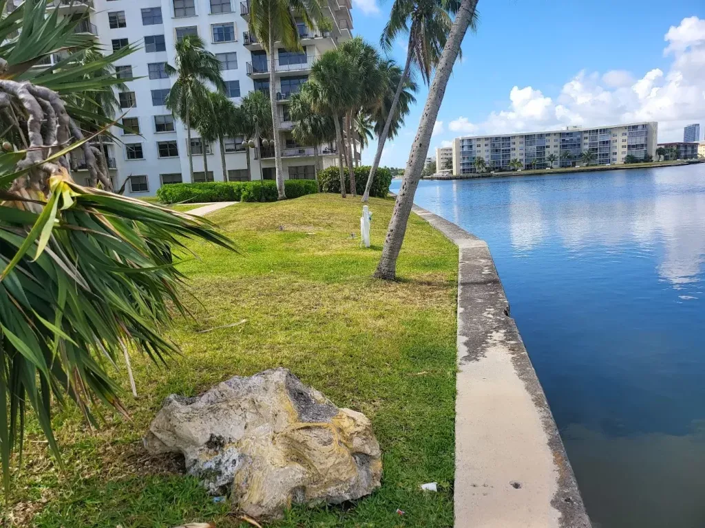 Why Are Holes Forming Behind Your Seawall? Top Causes & Solutions