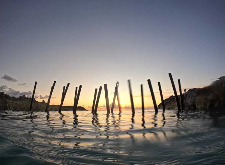 Protecting People and Marine Biodiversity with Sustainable Innovation